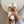 Load image into Gallery viewer, Jolie Teddy | Emu Australia Shoes Emu prem. clothing boutique Chatham, Ontario, Canada