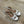 Load image into Gallery viewer, Theena Platform Sandal | Cream | Chinese Laundry prem. prem. clothing boutique Chatham, Ontario, Canada