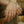 Load image into Gallery viewer, Amar Ring | Gold | Eliaszandella jewelry prem. prem. clothing boutique Chatham, Ontario, Canada