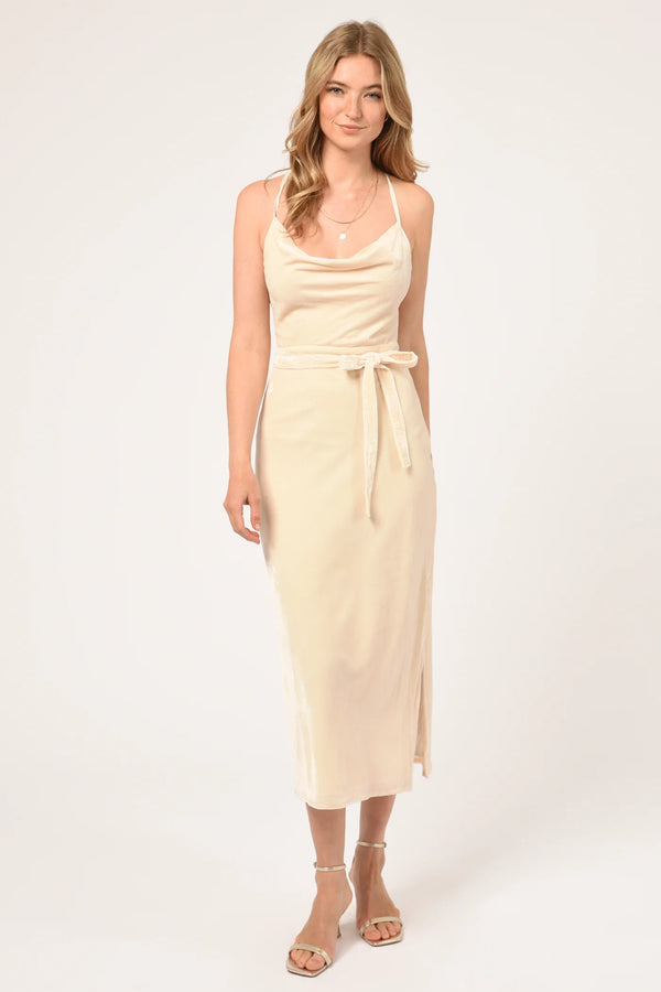 Zana Velvet Cowl Neck Slip Dress | Adelyn Rae Dresses Adelyn Rae X-Small   prem. clothing boutique Chatham, Ontario, Canada