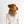 Load image into Gallery viewer, Ginger Gambler | Cinnamon | Gigi Pip Gigi Pip prem. clothing boutique Chatham, Ontario, Canada