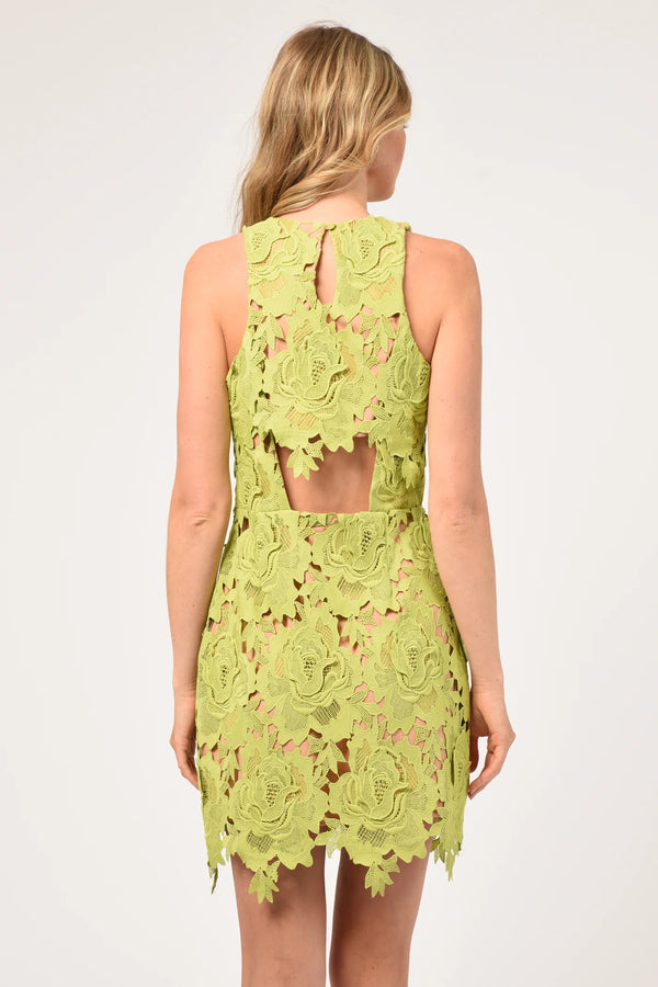 Cassie 3D Crochet Mini Dress | Adelyn Rae Dress Adelyn Rae    prem. clothing boutique Chatham, Ontario, Canada