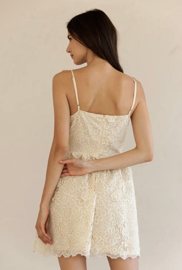 Kadie Lace Mini Dress