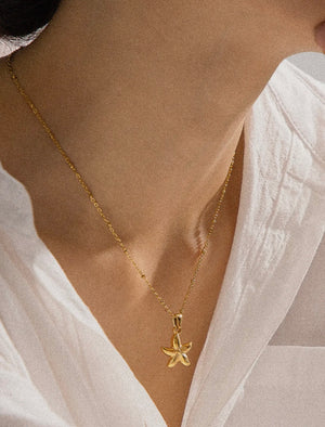 Astraia Star Necklace prem. prem. clothing boutique Chatham, Ontario, Canada