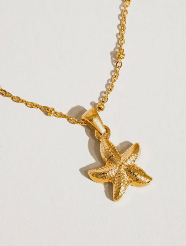 Astraia Star Necklace prem. prem. clothing boutique Chatham, Ontario, Canada