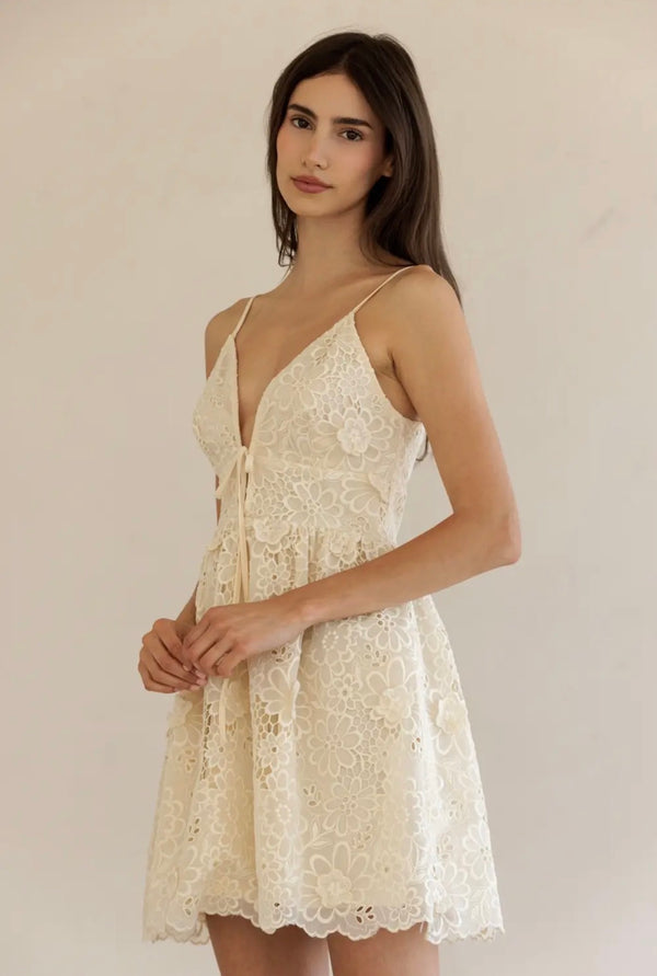 Kadie Lace Mini Dress