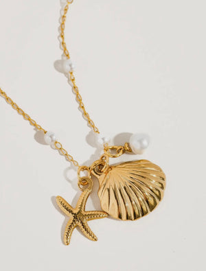 Capella Seashell & Star Bracelet prem. prem. clothing boutique Chatham, Ontario, Canada