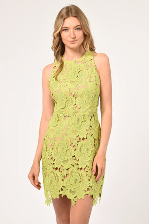 Cassie 3D Crochet Mini Dress | Adelyn Rae Dress Adelyn Rae    prem. clothing boutique Chatham, Ontario, Canada