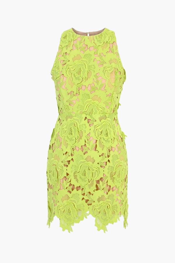 Cassie 3D Crochet Mini Dress | Adelyn Rae Dress Adelyn Rae    prem. clothing boutique Chatham, Ontario, Canada